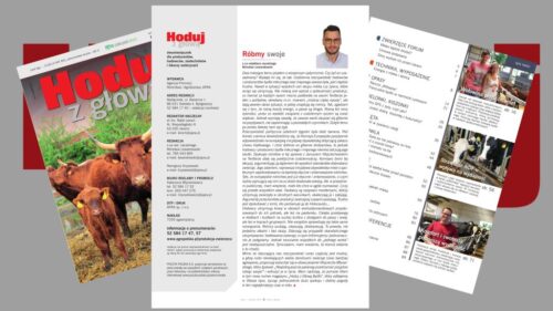 Hoduj z Głową Bydło, bydło mleczne, bydło mięsne, krowy mleczne, mamki, cielęta, jałówki, buhaje, opasy, żywienie bydła