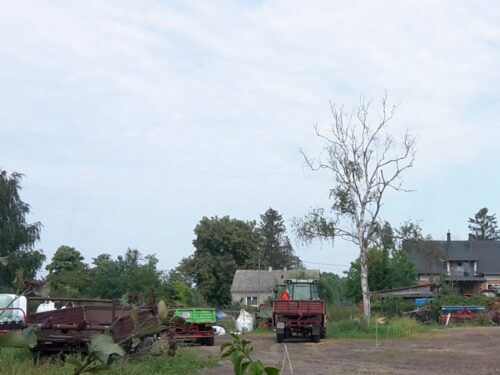 dochody rolników z hektara, gus, hektar przeliczeniowy, kredyty dla rolników