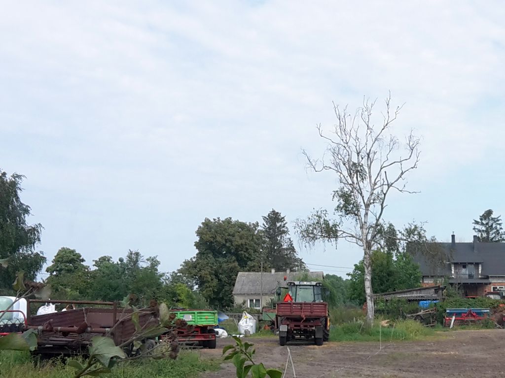 dochody rolników z hektara, gus, hektar przeliczeniowy, kredyty dla rolników