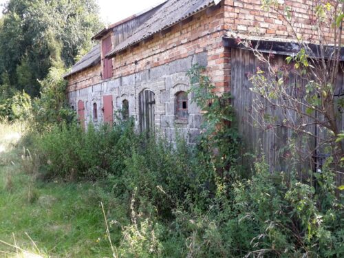 gospodarstwa rolne, powierzchnia użytków rolnych