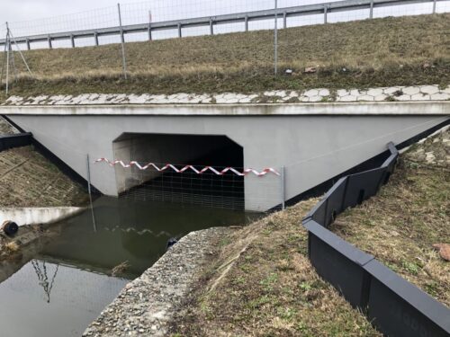 waka z asf w POlsce, wygrodzenia przeciw dzikom, Joanna Rarus, GDDKiA Rzeszów