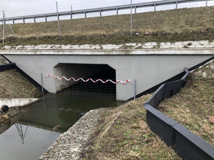 waka z asf w POlsce, wygrodzenia przeciw dzikom, Joanna Rarus, GDDKiA Rzeszów