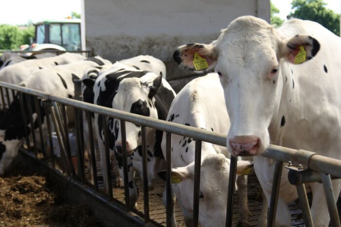 finansowanie WPR na lata 2023-2027, ARiMR, Plan Strategiczny dla WPR 2023-2027