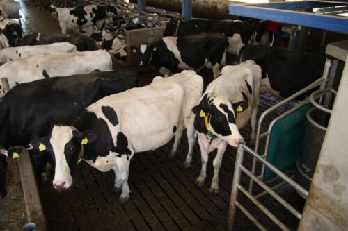 egzekucja komornicza, Sejm, Kodeks postępowania cywilnego, zadlużenie gospodarstw