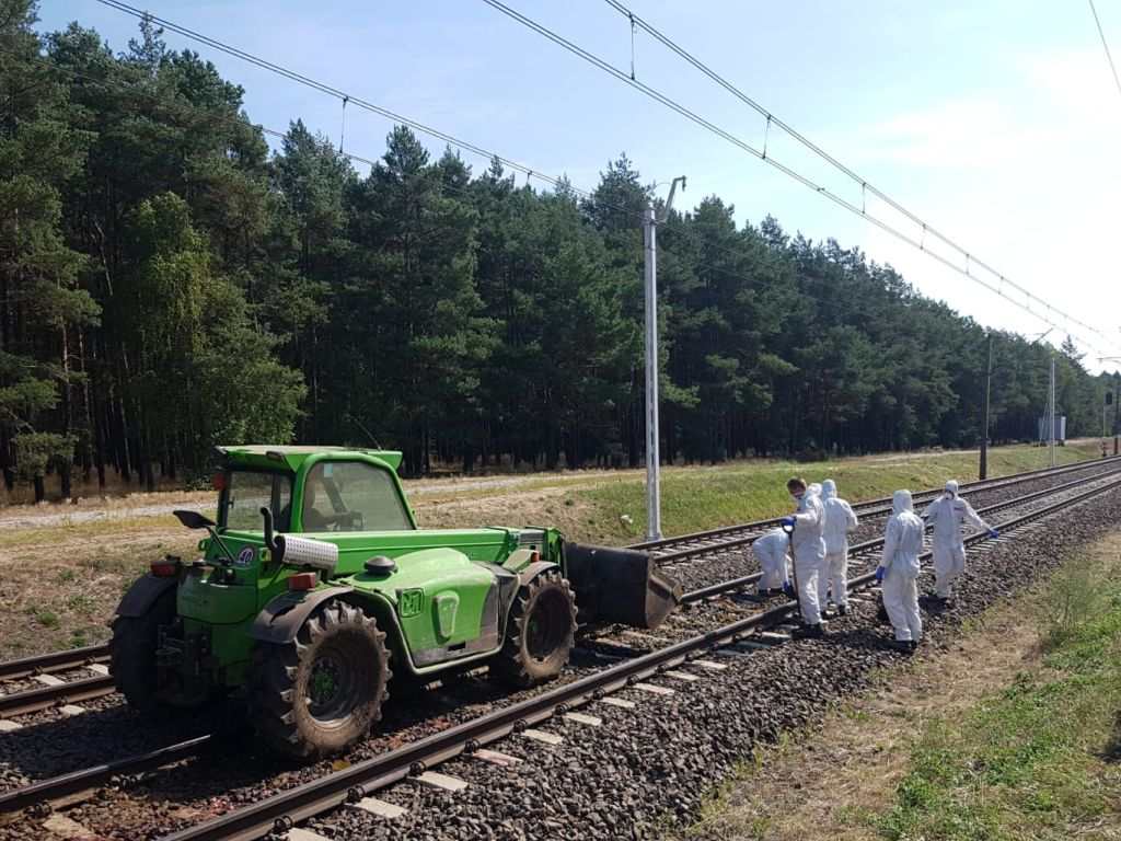 wypadek, pociąg, krowy, popowo