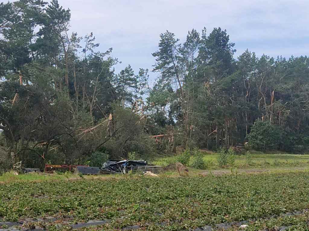 nawałnica, trąba powietrzna, gospodarstwo, lubelskie