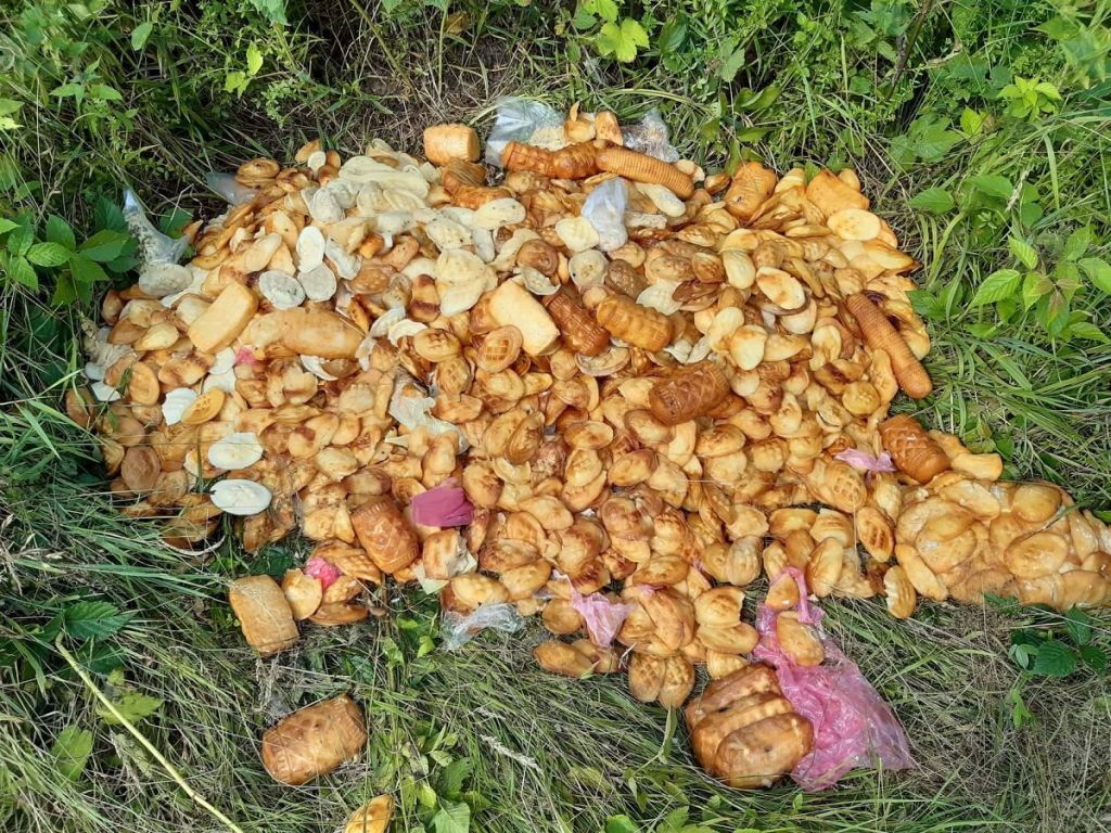 śmieci w lesie, gmina Czerniejewo, Nadleśnictwo Ustrzyki Dolne, Orelec