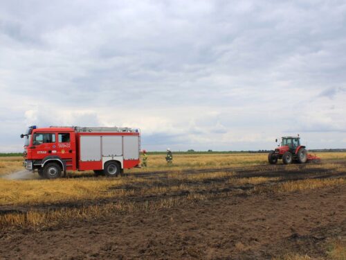 pożary na polach, pasy ochronne na polach, Piotr Kaczmarek, Damian Stankiewicz