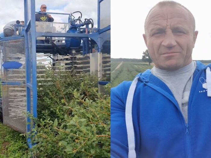 Mariusz Pudzianowski, zbiór borówek amerykańskich, sadownictwo