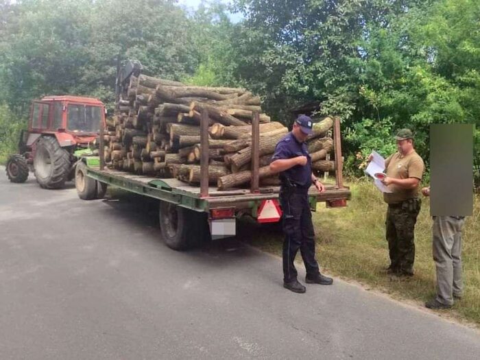 kontrola, las, drewno, policja