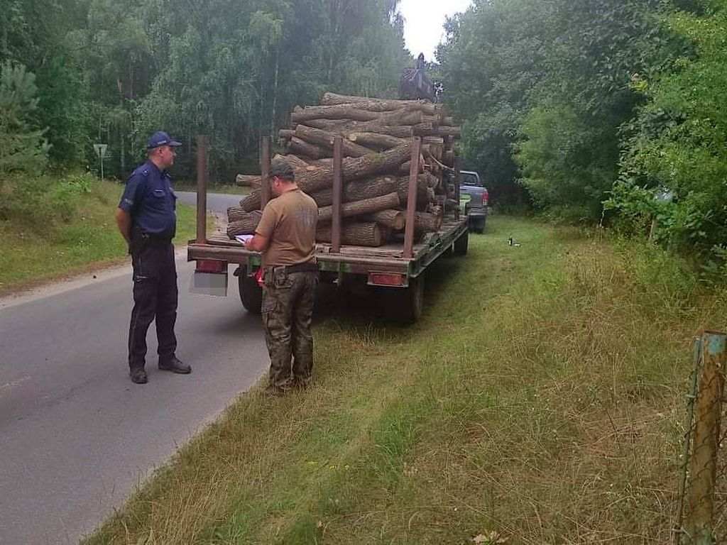 kontrola, las, drewno, policja