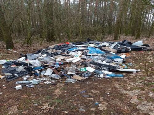 śmieci w lesie, gmina Czerniejewo, Nadleśnictwo Ustrzyki Dolne, Orelec
