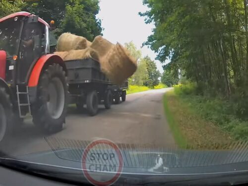 Najwyższa Izba Kontroli, NIK, ubój gospodarczy, przewóz i transport żywych zwierząt