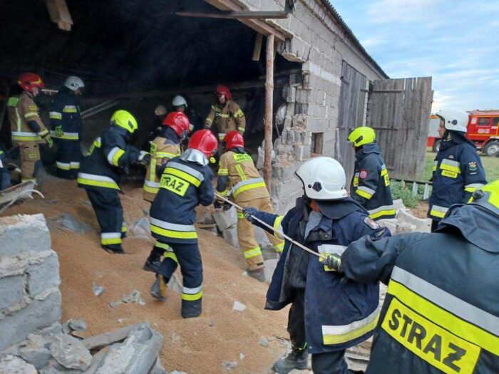 gospodarstwo, krowy, strop, katastrofa