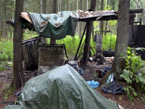 kas, bimber, leśna bimbrownia