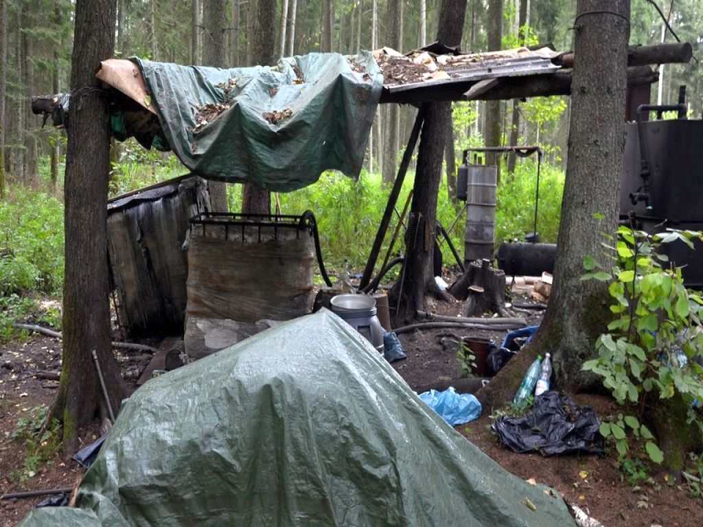 kas, bimber, leśna bimbrownia