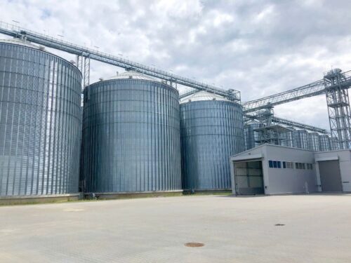 Cedrob Pasze, pasze, drób, trzoda chlewna, Rypin, zwierzęta gospodarskie, hodowla trzody chlewnej, hodowla drobiu