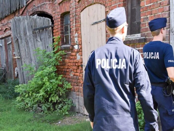 policja, chlewnia, kradzież
