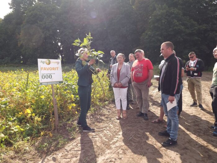 Agroyoumis, warsztaty polowe w Deszkowicach, Natalia Sibirtseva, uprawa soi