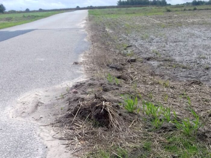 zaorywanie pasów drogowych, zanieczyszczanie jezdni, gmina Rawa Mazowiecka, Paweł Jakubowski