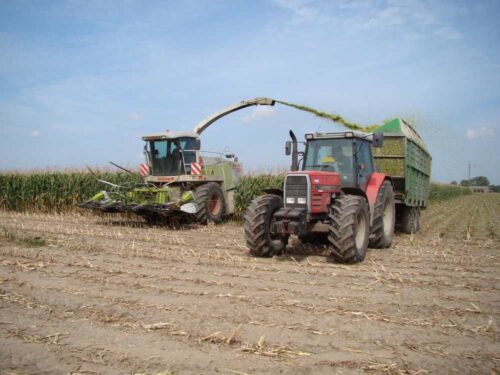 zbiór kukurydzy, sieczkarnia