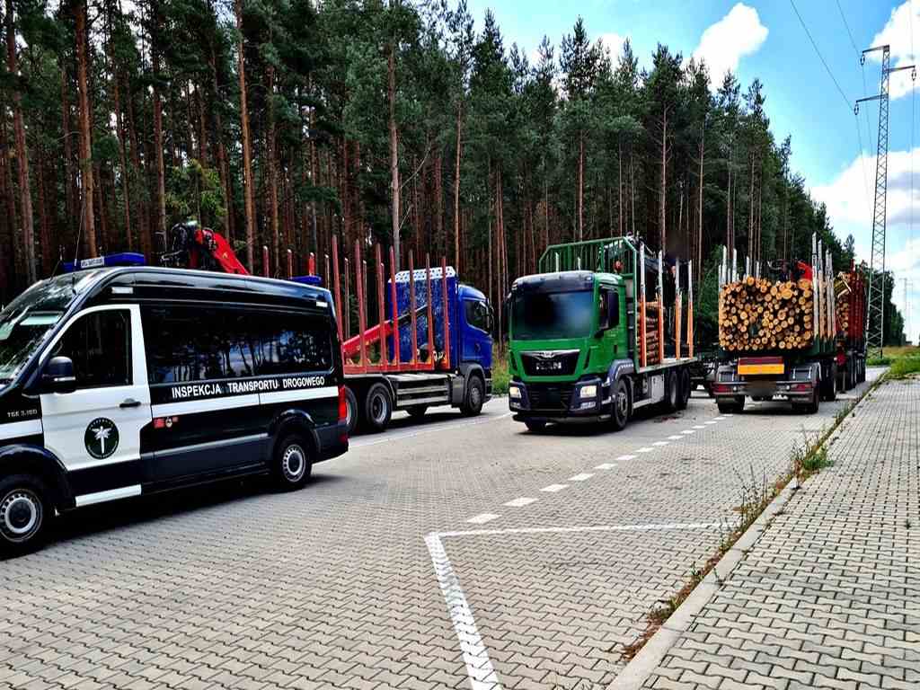kontrola, pojazdy z drewnem, witd, opolskie