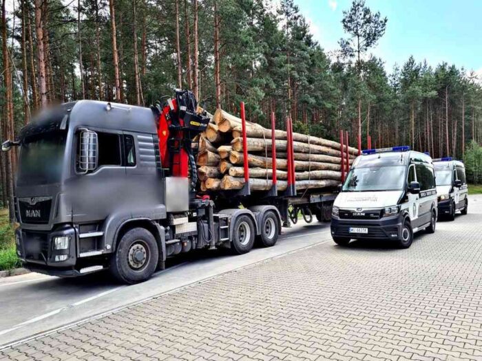 kontrola, pojazdy z drewnem, witd, opolskie