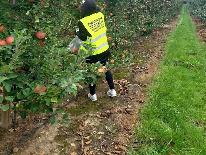 pozostałości środków ochrony roślin w płodach rolnych, pestycydy, WIORiN Bydgoszcz,