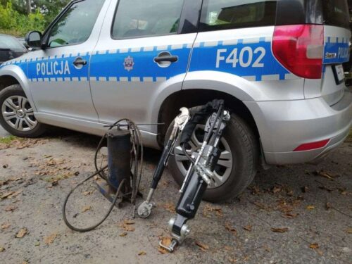 kradzież, wystawa, skotniki