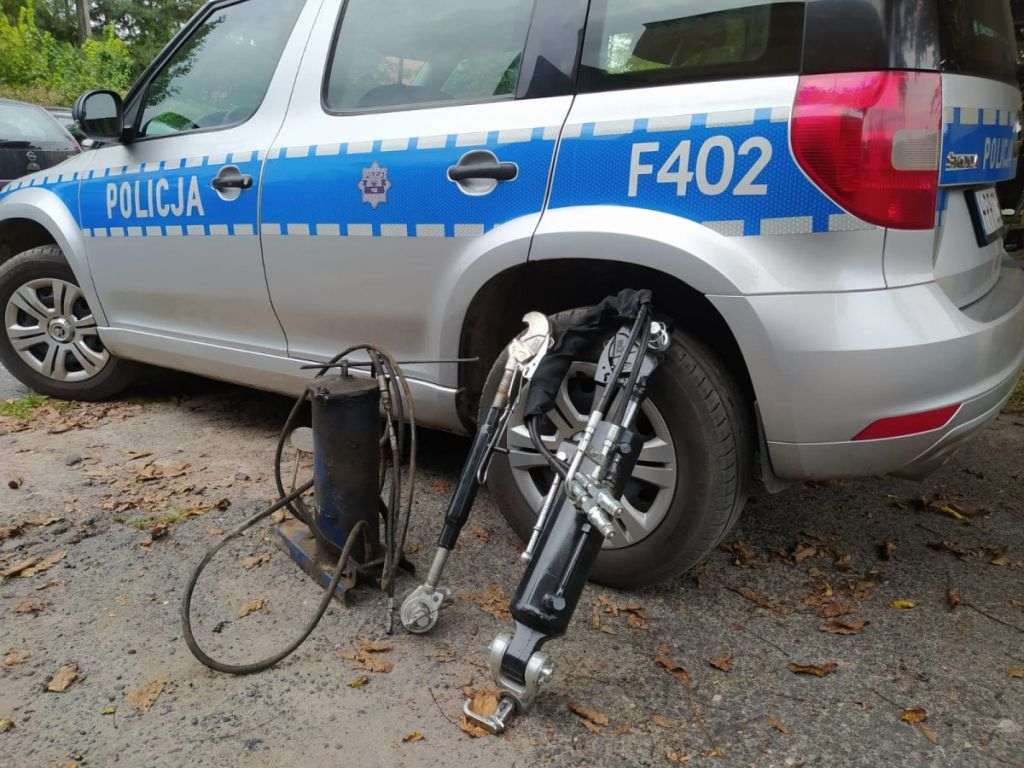 kradzież, wystawa, skotniki