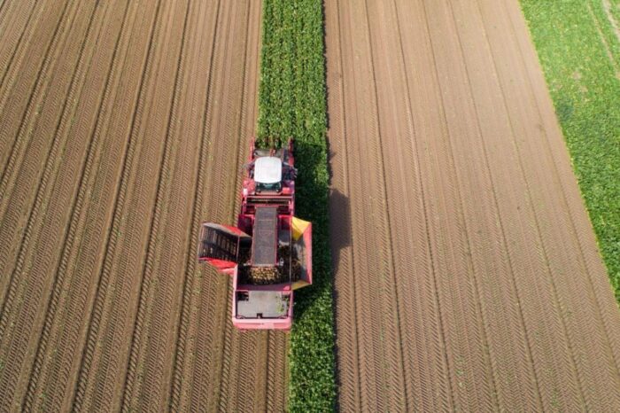 kampania cukrownicza KSC, burak cukrowy, produkcja cukru, Szymon Smajdor
