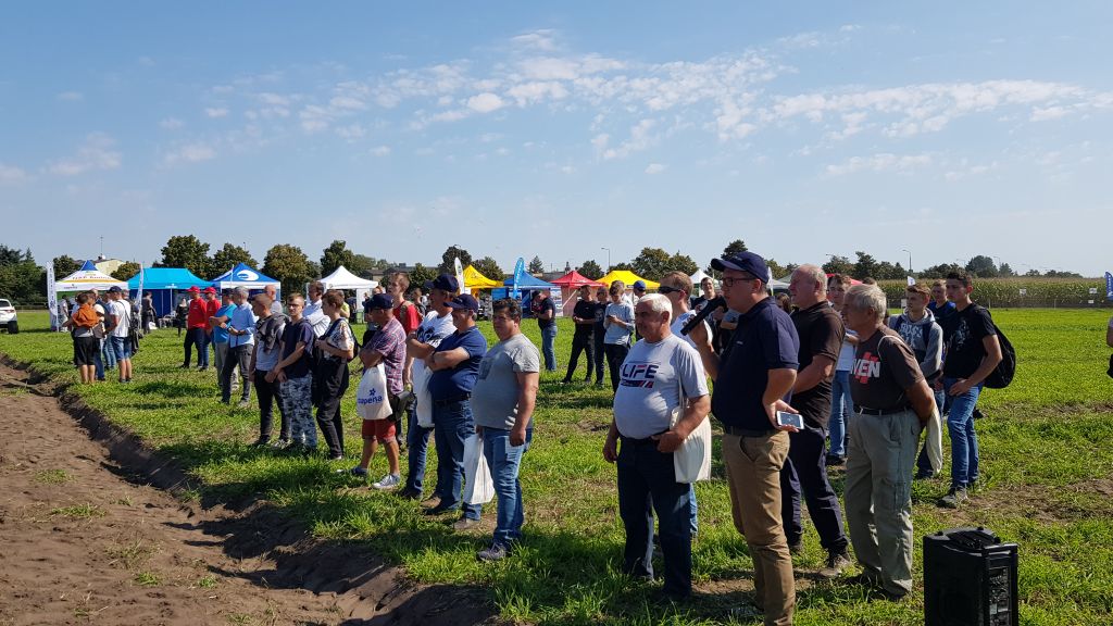Pokazy Mistrza Pola, Przedsiębiorstwo Rolne Długie Stare, Leszno, uprawa kukurydzy na ziarno