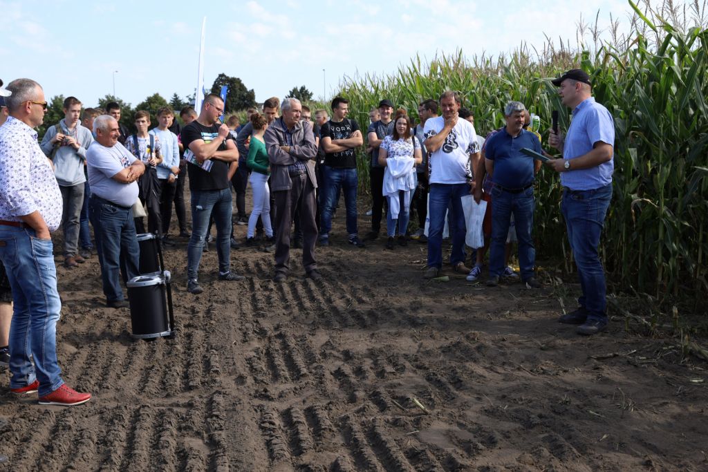 Pokazy Mistrza Pola, Przedsiębiorstwo Rolne Długie Stare, Leszno, uprawa kukurydzy na ziarno