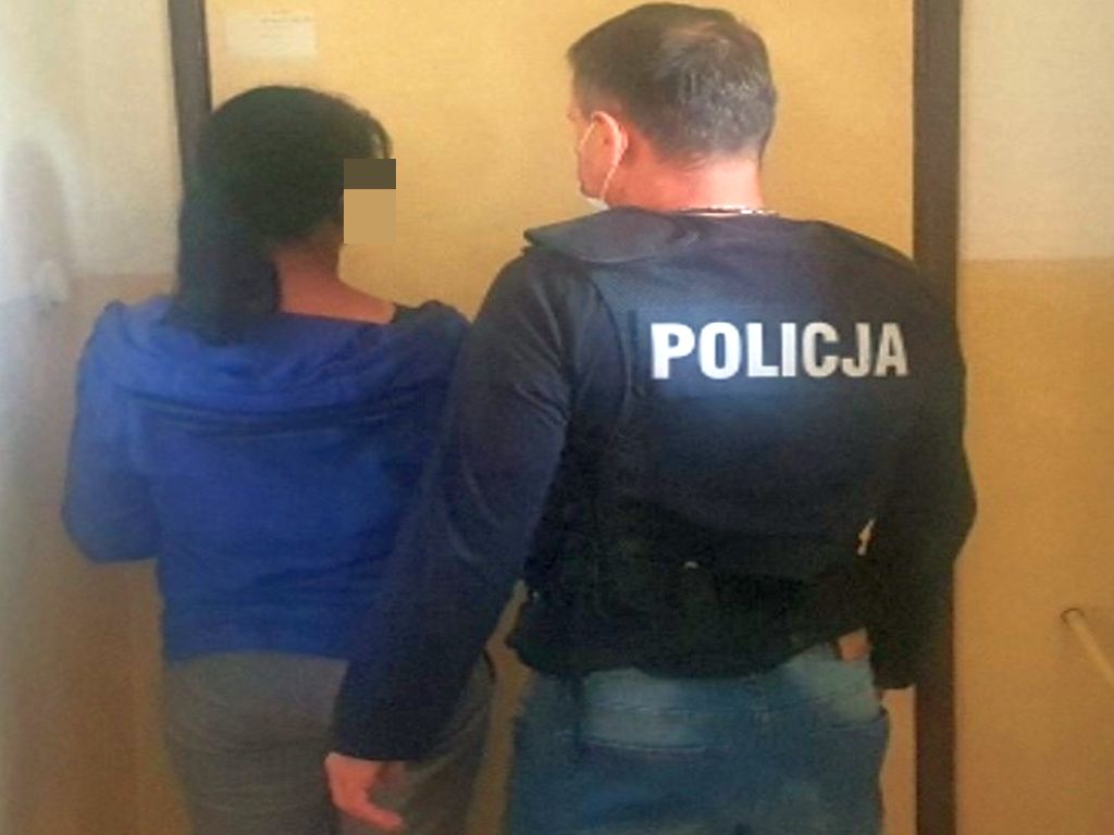 podpalaczka, świecie, nowe