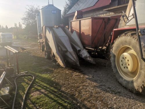 ręka w sieczkarni, kukurydziane żniwa, Mędrzechów, powiat dąbrowski, Daniel Misiaszek