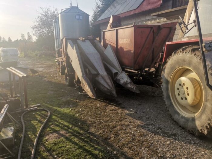 ręka w sieczkarni, kukurydziane żniwa, Mędrzechów, powiat dąbrowski, Daniel Misiaszek