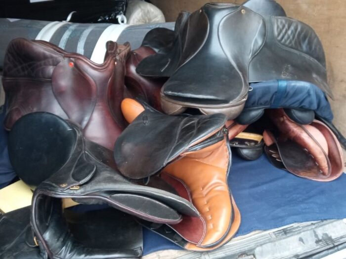 złodzieje siodeł konnych, gmina Żytno, powiat radomszczański, akcesoria jeździeckie