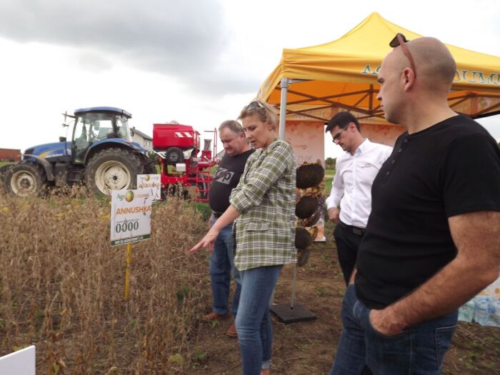 Agroyoumis, warsztaty polowe w Pawłowicach, Natalia Sibirtseva, Marek Michalik