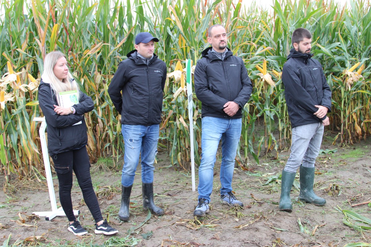 Syngenta, Konferencje Zimowe Syngenta, Moje Info Pole, ochrona zbóż, ochrona rzepaku, odchwaszczanie kukurydzy, odmiany