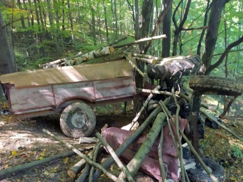 zwózka drewna, wycinka drzew, Wesoła, Dylągówka, powiat rzeszowski