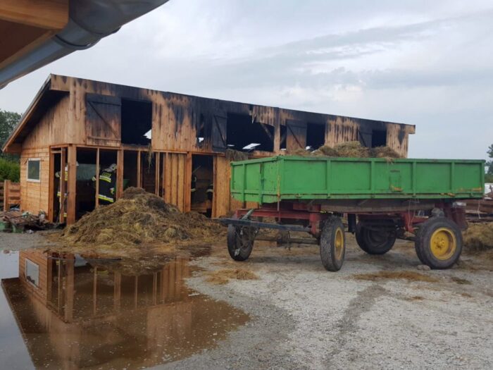 pożary w gospodarstwach, hodowla alpak, powiat nowotymski, Damian Żukrowski