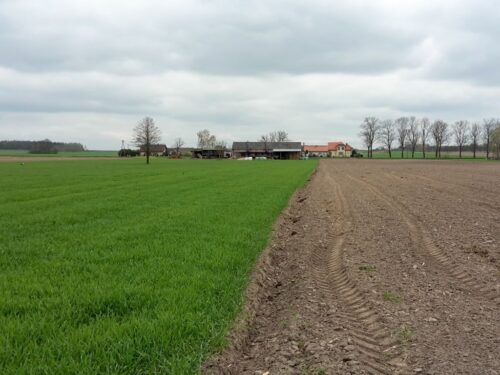 ceny gruntów rolnych, sprzedaż/kupno gruntów rolnych, raport GUS, kredyty dla rolników