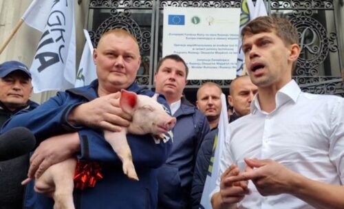 AgroUnia, prosięta, hodowcy świń, warchlaki, ministerstwo rolnictwa, trzoda chlewna, żywiec wieprzowy, protest