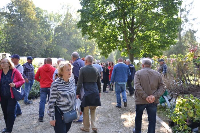 AGROMARSZ , WODR, odmiany kukurydzy, drony w rolnictwie, Poldrony, pokaz florystyczny