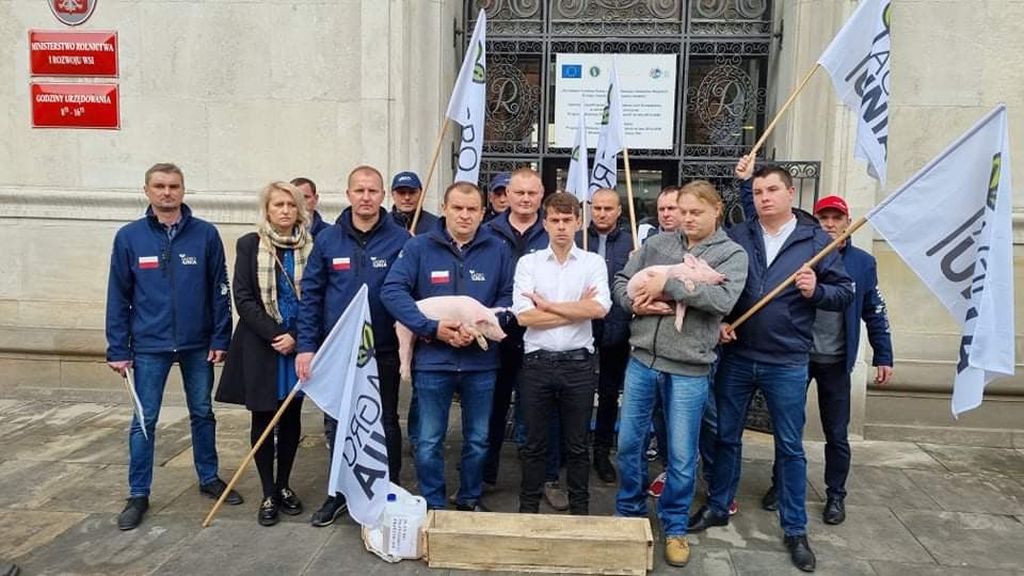 AgroUnia, prosięta, hodowcy świń, warchlaki, ministerstwo rolnictwa, trzoda chlewna, żywiec wieprzowy, protest