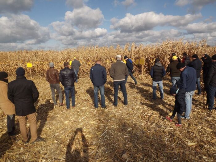Dzień Kukurydzy w Bzite, Mikołaj Szumański, Farmsaat, Konrad Piróg, powiat krasnystawski