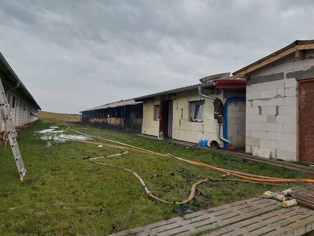 pożary w gospodarstwach, pożar chlewni, Różnowo, powiat iławski