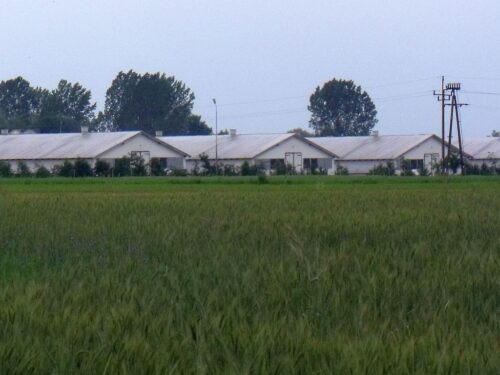 organizacje ekologiczne, Warmińsko-Mazurska Izba Rolnicza, KRIR