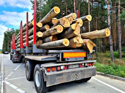 przemysł drzewny, pozyskiwanie i sprzedaż drewna, PIGPD, Marek Kubiak