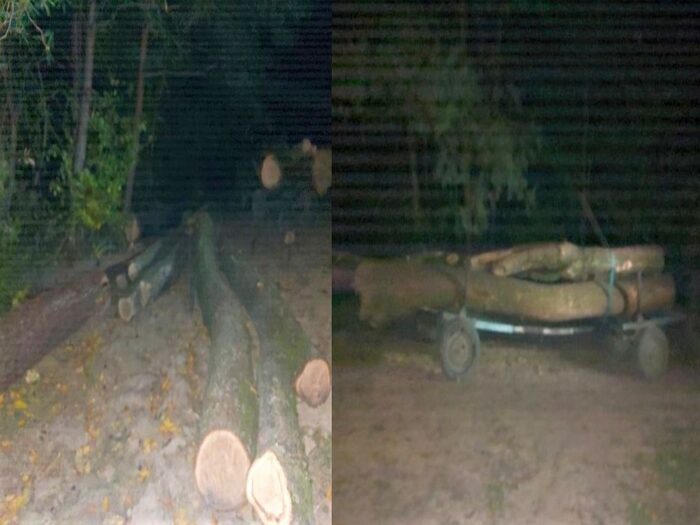 kradzież drewna, Hucisko Jawornickie, powiat przeworski, KPP Przeworsk